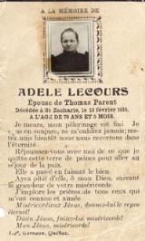 Genealogy Lecour