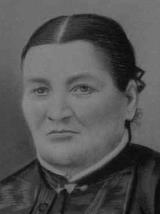 Genealogy Cassista