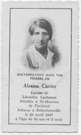 Genealogy Carrier