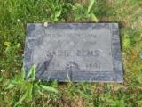 Genealogy MacPhee