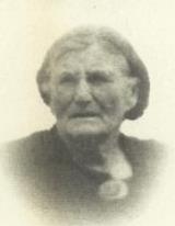 Genealogy Fortin