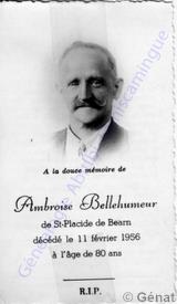 Genealogy Belhumeur