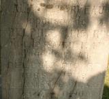 Genealogy Darveau