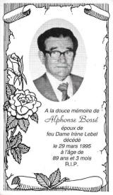 Genealogy Bosse