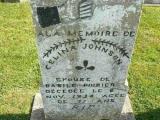 Genealogy Johnson