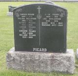 Genealogy Picard