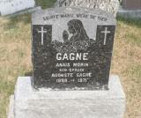 Genealogy Morin