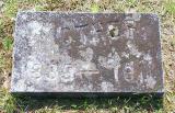 Genealogy Savard