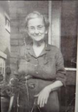 Genealogy Curley