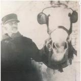 Genealogy Babineau