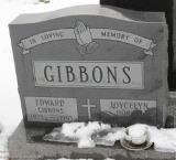 Généalogie Gibbons