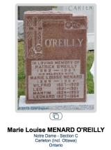 Genealogy O'Rielly
