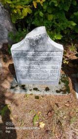 Genealogy McMurray