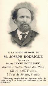 Genealogy Rodrigue