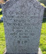 Genealogy Morin