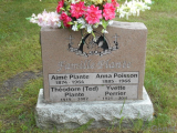 Généalogie Plante