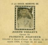 Généalogie Veilleux